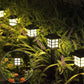 Solar Garden Yard Light (Pack of 6)