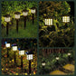 Solar Garden Yard Light (Pack of 6)